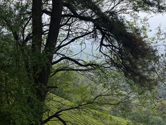 -敬亭山风景名胜区