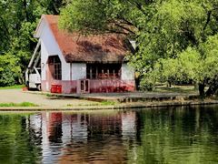 -上海共青森林公园