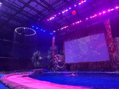 -华夏文旅海洋公园