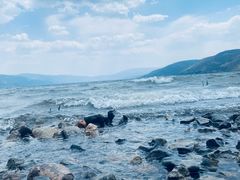 -阳宗海湿地