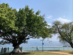 -西昌邛海宾馆