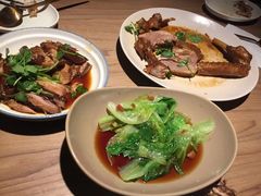 -MR鹅外