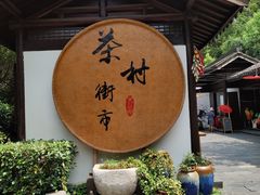 -天目湖山水园
