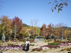 -浙江农林大学(东湖校区)