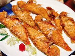 -吴记富苑(朝阳店)