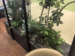 -THE WOODS 简餐 (国贸商城店)