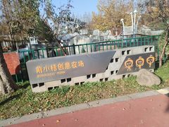 -前小桔亲子创意农场·草莓采摘·露营烧烤