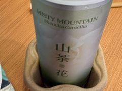 -雾与山茶(大禹城店)