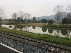 -径山花海