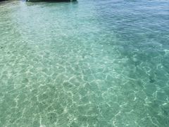 -东姑阿都拉曼海洋公园