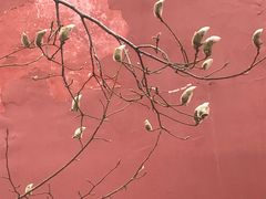 -东华门大街小区