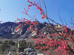 -北京凤凰岭