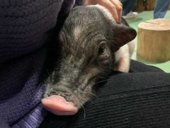 -藦茜花园宠物主题亲子互动体验馆(国顺东路店)