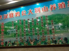 -重庆金老汉烧鸡公火锅(宁国路龙虾一条街店)