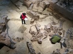 -自贡恐龙博物馆