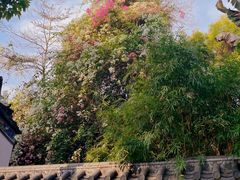 -深圳国际园林花卉博览园