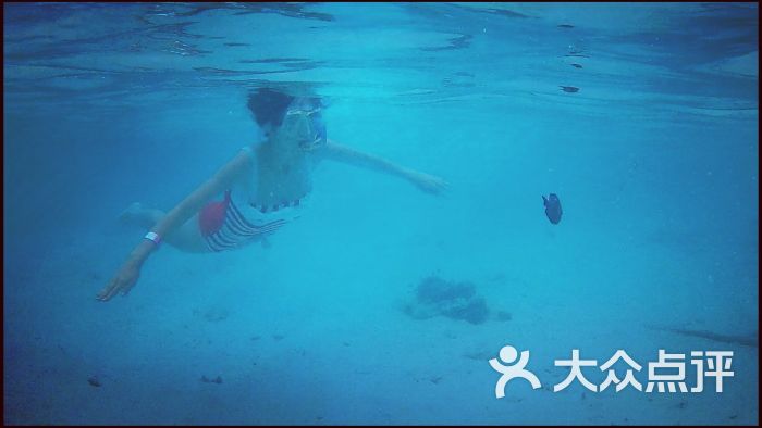小雨718718上传的图片