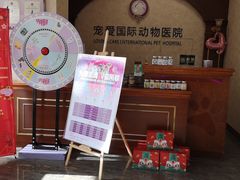 -宠爱国际动物医院· 猫科· 外科·中兽医(长白店)