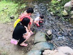 -白水寺森林公园