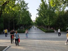 -迎泽公园