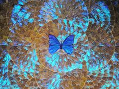 -上海昆虫博物馆