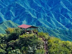 -大岭沟猕猴桃谷风景区