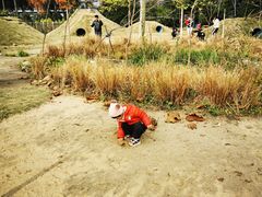 -前小桔亲子创意农场·草莓采摘·露营烧烤