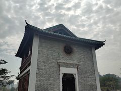 -王借岗森林公园