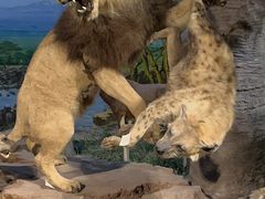 -国家自然博物馆