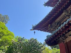 -报恩寺(平武县)