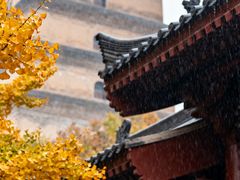 -大慈恩寺(大雁塔)