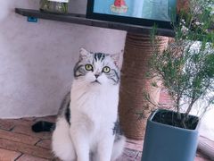 -月迷津渡(吾悦国际店)