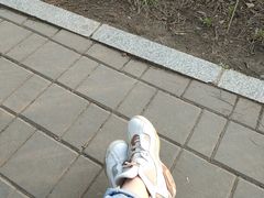 -长春市南湖公园