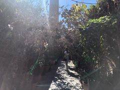 -The Grounds of Alexandria