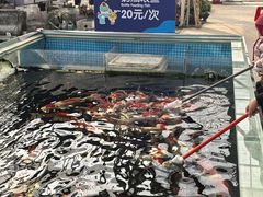 -菊园百果园