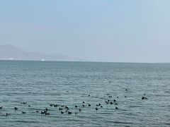 -大理洱海