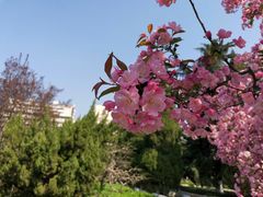 -山东大学(千佛山校区)