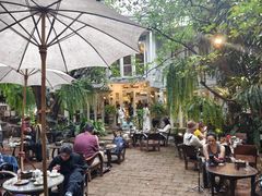 -Fern Forest Cafe