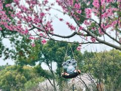 -苏州上方山国家森林公园