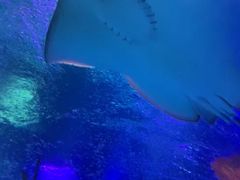 -沈阳海洋探索中心