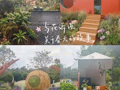 -莲花山公园