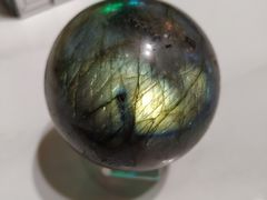 -鲜果盒子(会展店)