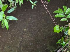 -西岭雪山大飞水景区