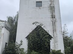 -南湖国家城市湿地公园