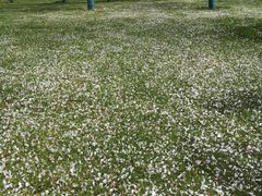 -幕燕滨江·长江观音景区