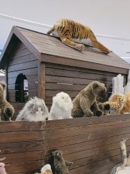 -IMON·HANSA潮玩玩偶毛绒玩具(通州万象汇店)