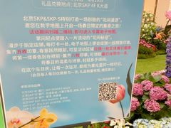 -北京SKP
