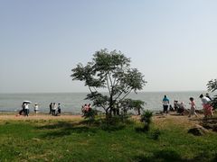 -巢湖姥山岛