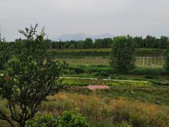 -洨河生态公园