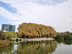 -红梅公园